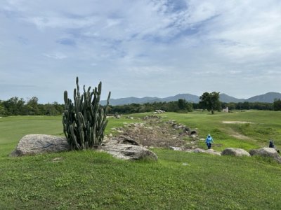 <p>Quelques beaux cactus justifient le nom du parcours.</p>