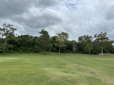 <p>Mieux vaut rester sur le fairway. La jungle est impénétrable… et pas très sûre.</p>