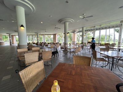 <p>Pas grand monde aujourd'hui ni sur le parcours ni au restaurant.</p>